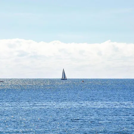 Pet Friendly Rosolina Mare